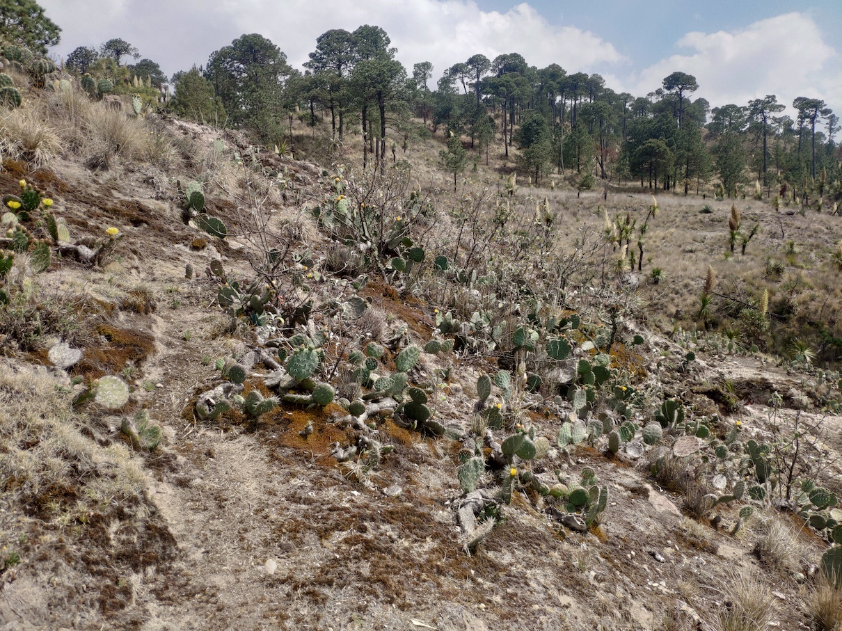 La Derrumbada Roja