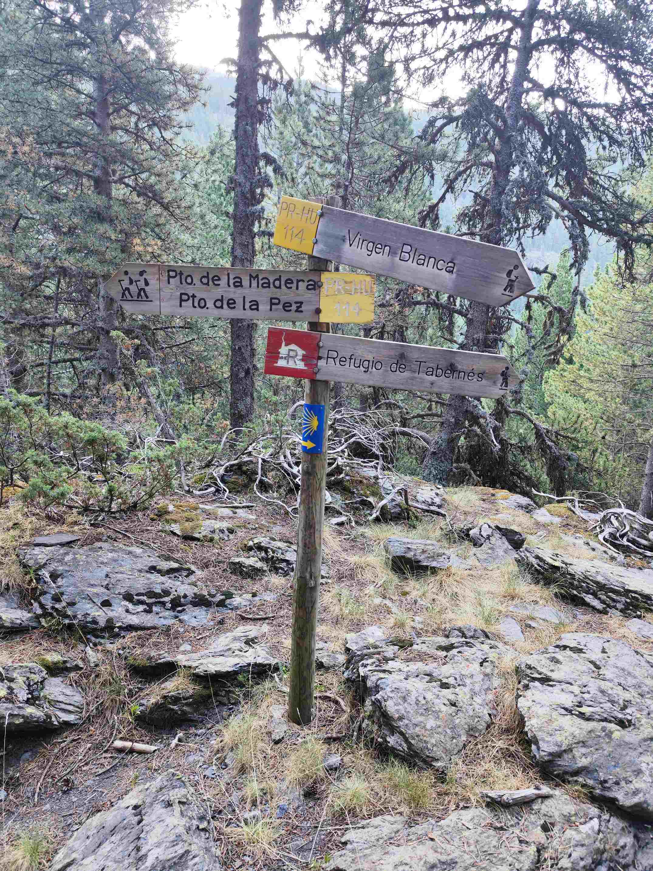 Cresta del Gran Bachimala