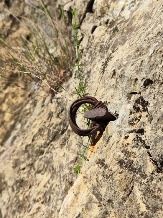 Diedro Quadropheina